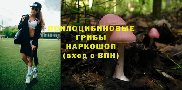 Альфа ПВП Алексин