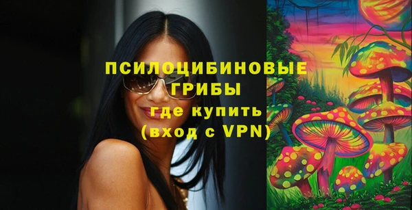 ПСИЛОЦИБИНОВЫЕ ГРИБЫ Абинск