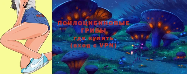 ПСИЛОЦИБИНОВЫЕ ГРИБЫ Абинск